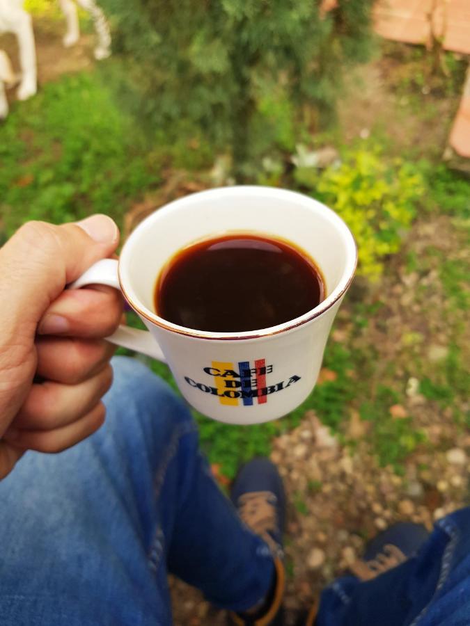 Tatami Hostel بوكارامانغا المظهر الخارجي الصورة