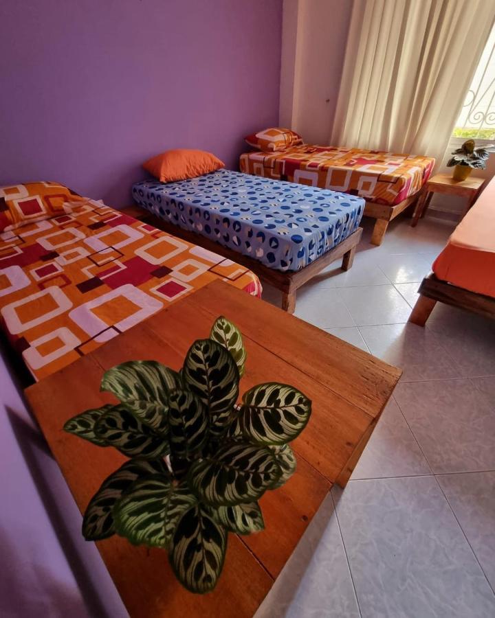 Tatami Hostel بوكارامانغا المظهر الخارجي الصورة