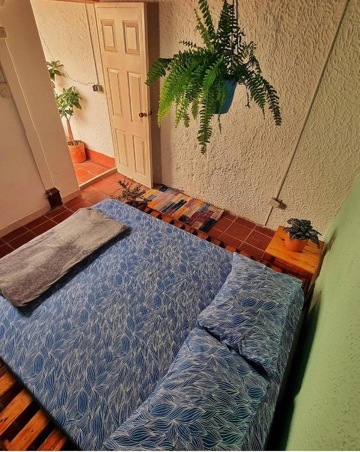 Tatami Hostel بوكارامانغا المظهر الخارجي الصورة