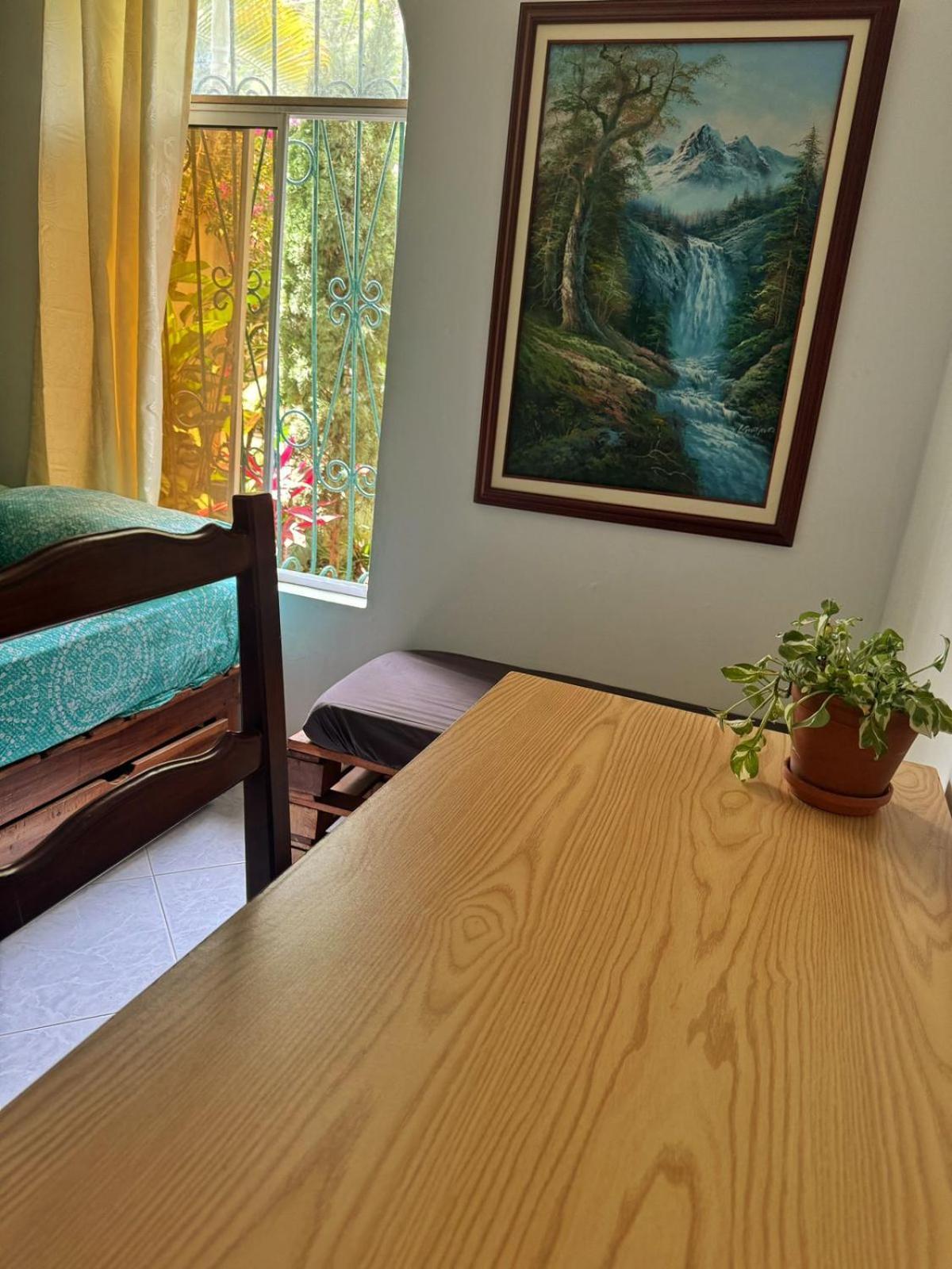 Tatami Hostel بوكارامانغا المظهر الخارجي الصورة